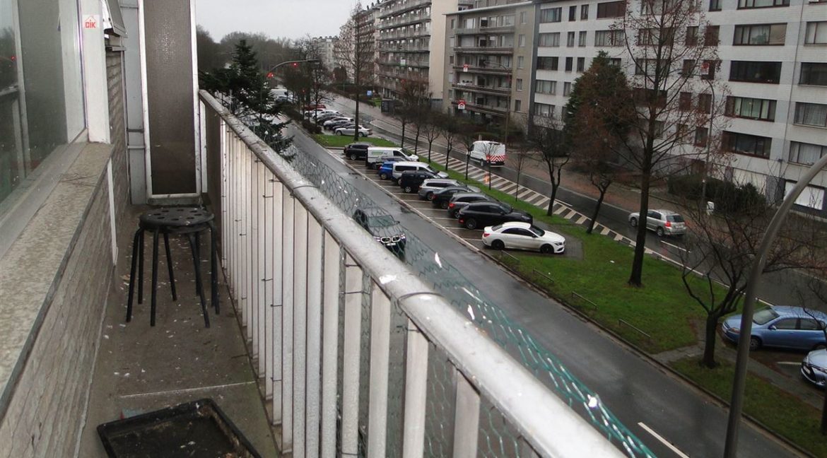 E3638923361765407199_18886DL