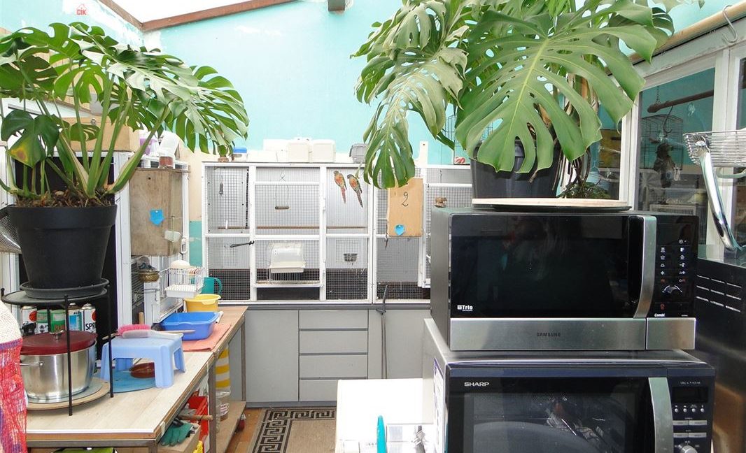 E1638923373631235678_18972GL