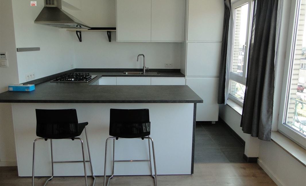 E1638923379334960587_18981DL