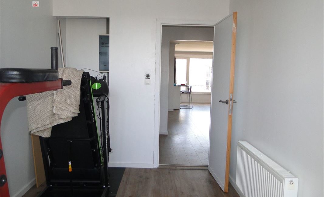 E1638923379680885547_18981LL