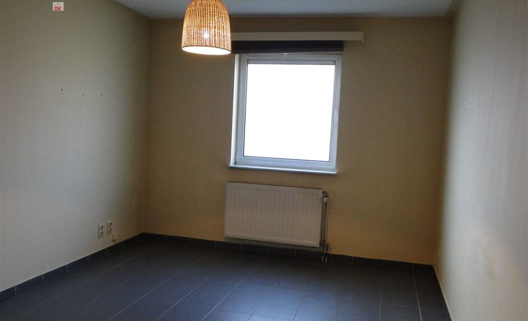 E2638923350439589696_18784JL