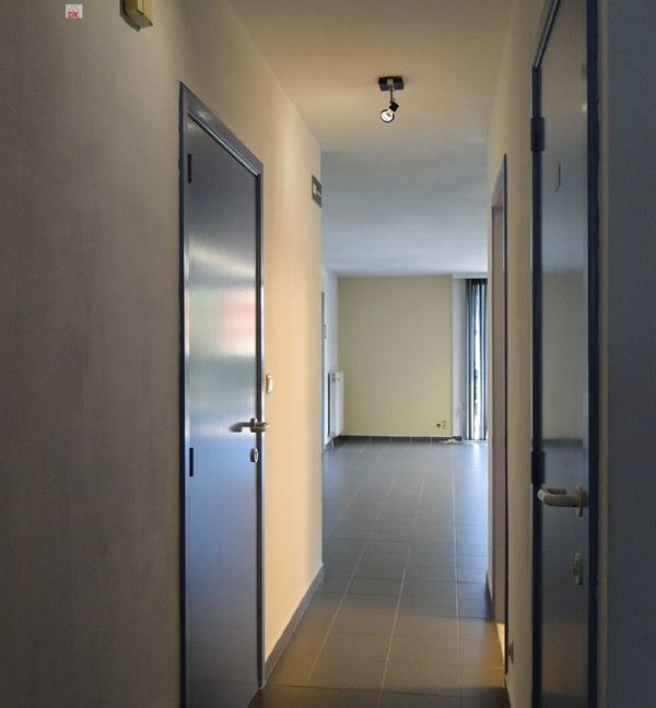 E2638923350513907784_18784LL