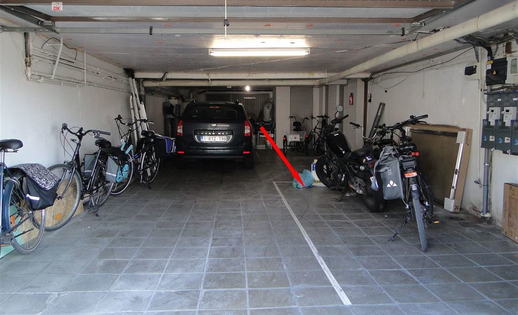 E2638923379104302441_18981ACL