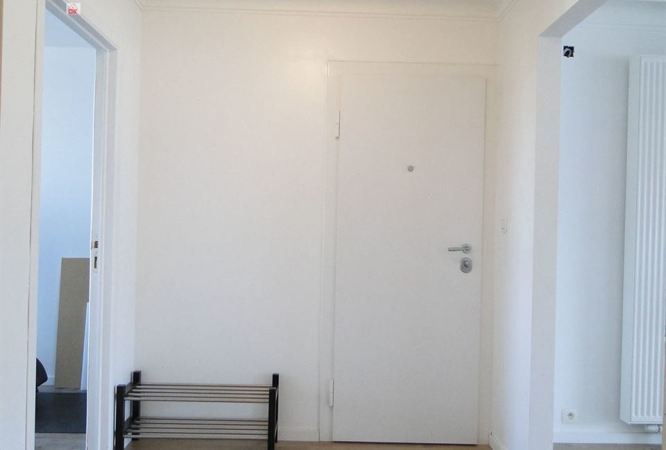 E2638923379555453226_18981HL