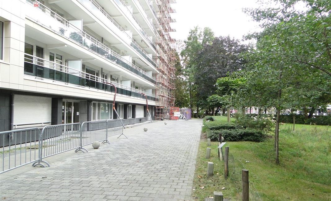 E2638927610258933556_18985BL