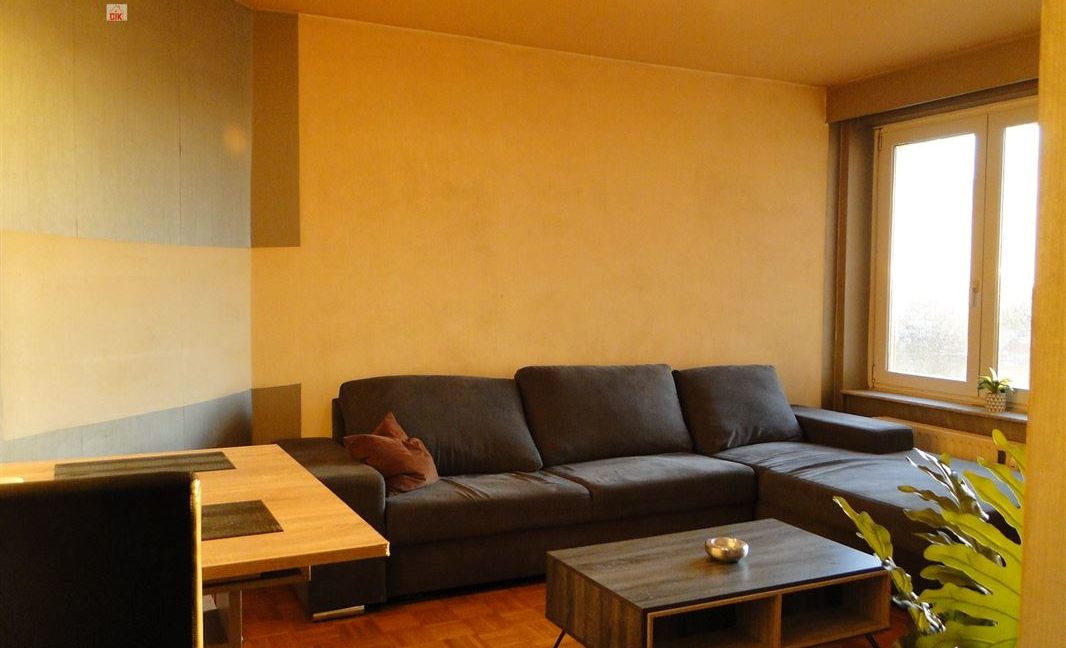 E2638985681274527564_19004BL