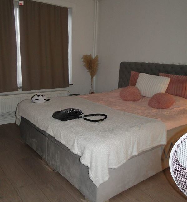 E3638923334812311507_18320GL