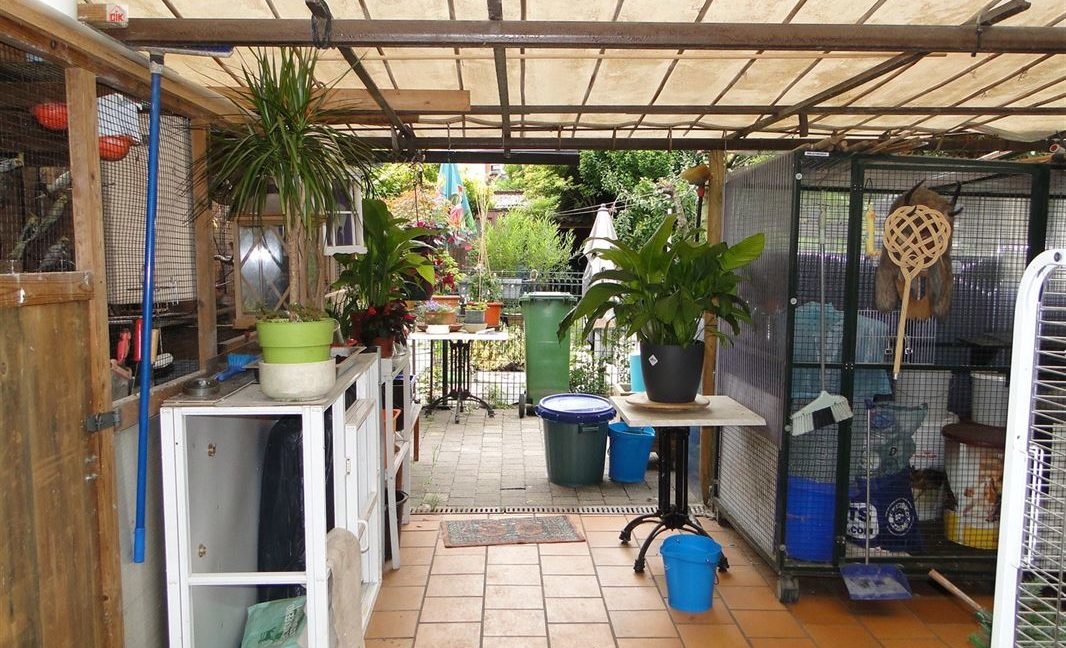 E3638923373661977212_18972HL