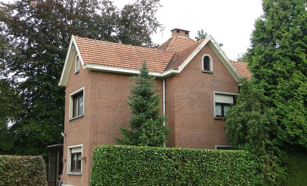 E3638923375365696721_18980ANL