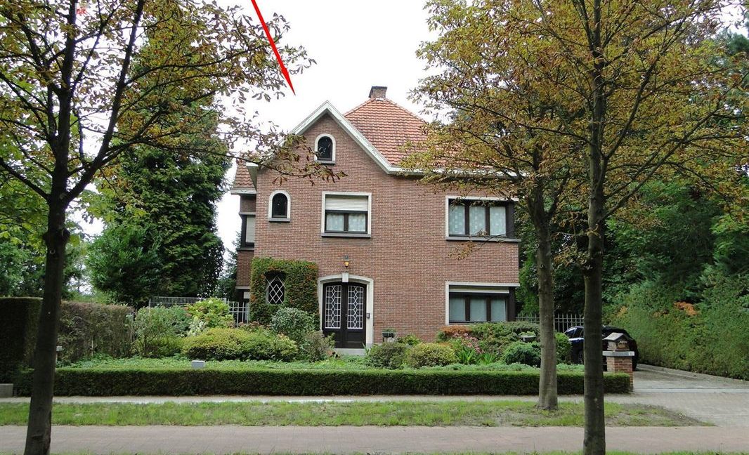 E3638923375688354213_18980BL