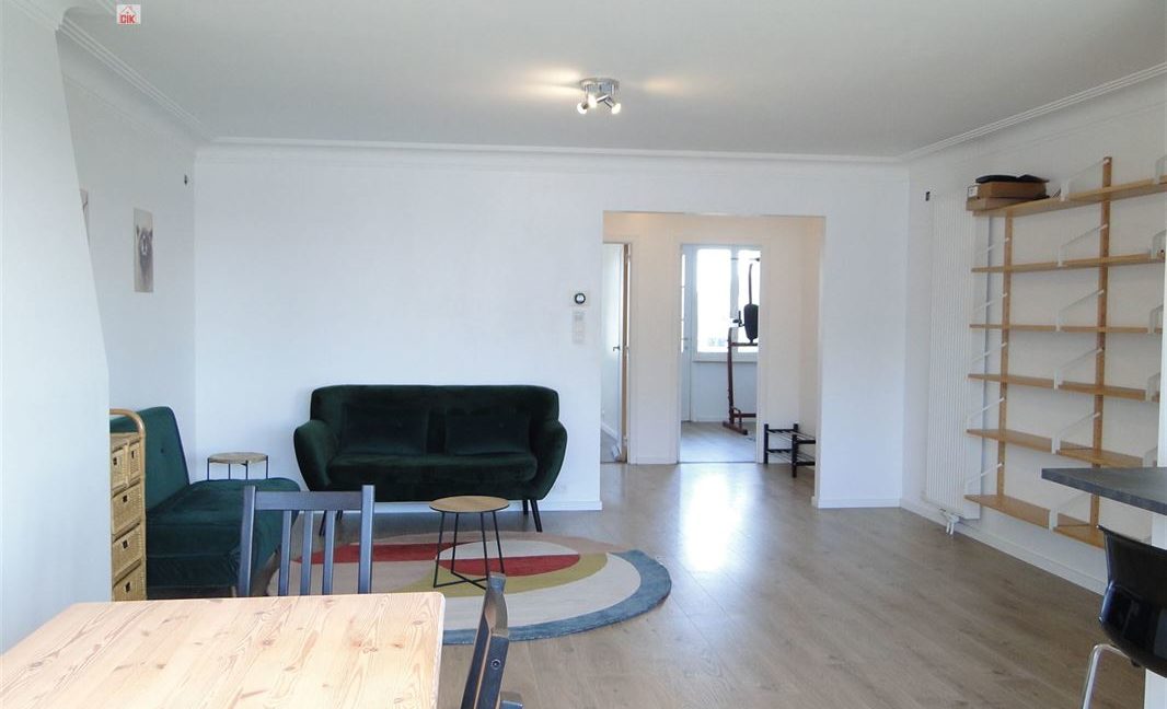 E3638923379409149378_18981FL