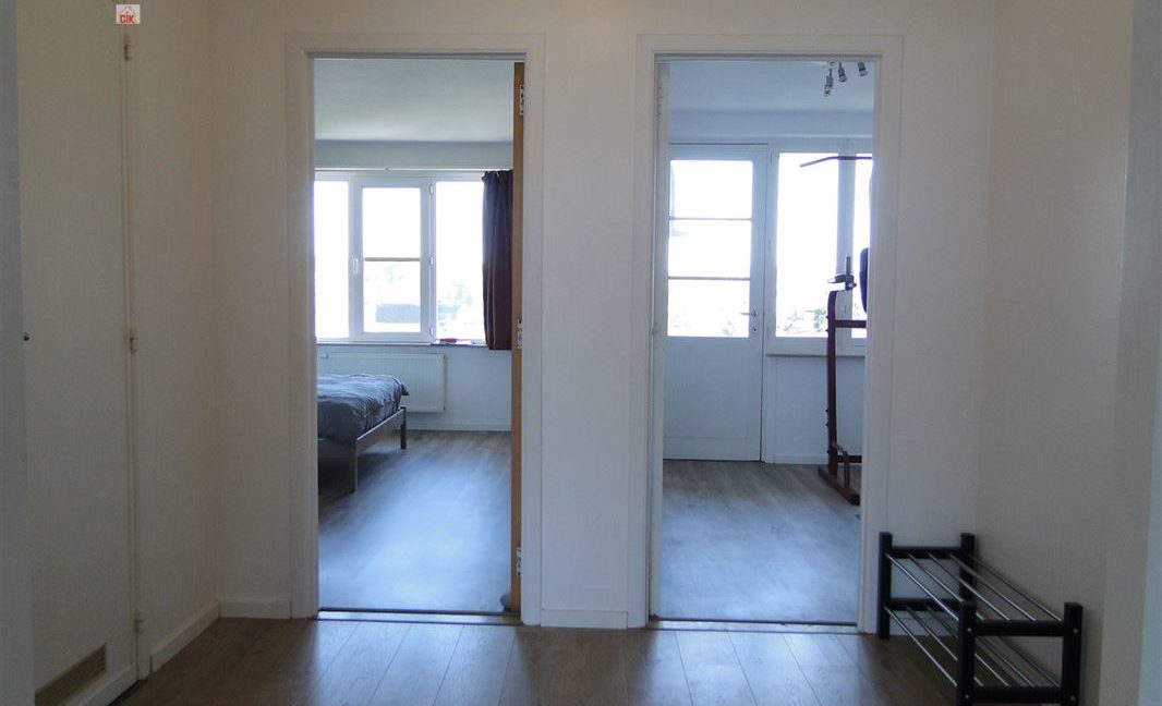 E3638923379452167755_18981GL