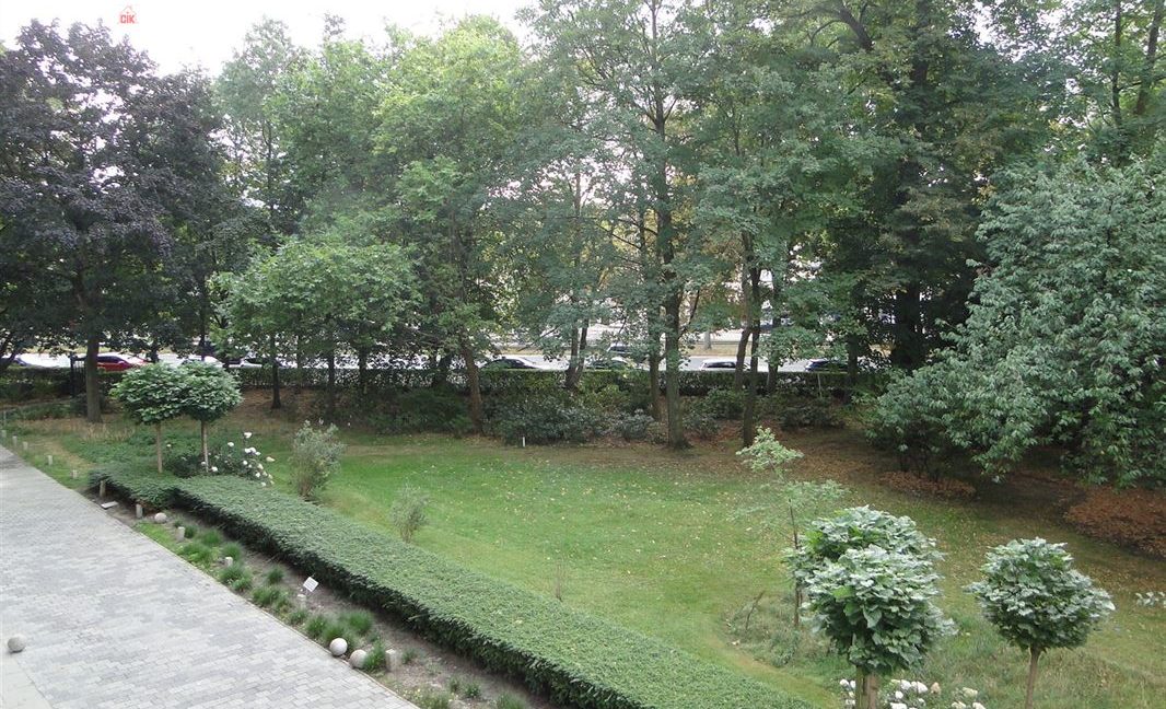 E3638927610234805497_18985FL