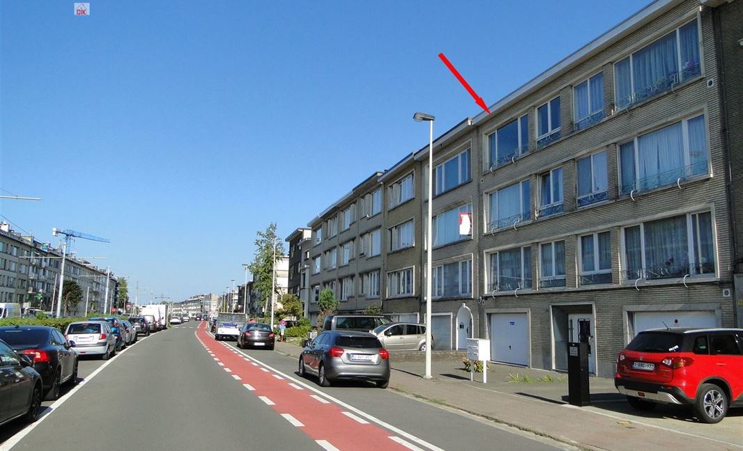 E3638969005448900412_18981AFL