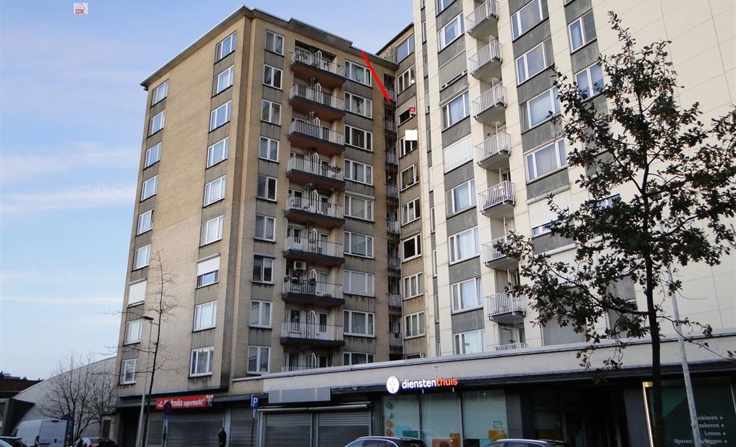 E3638985681278769526_19004AL