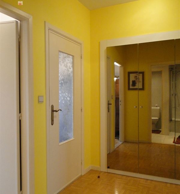 E1638923355731779615_18817CL