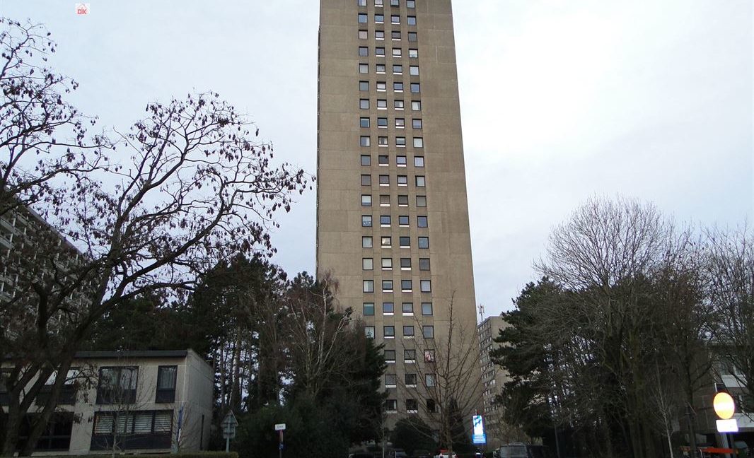 E2639016559205696364_19008BL