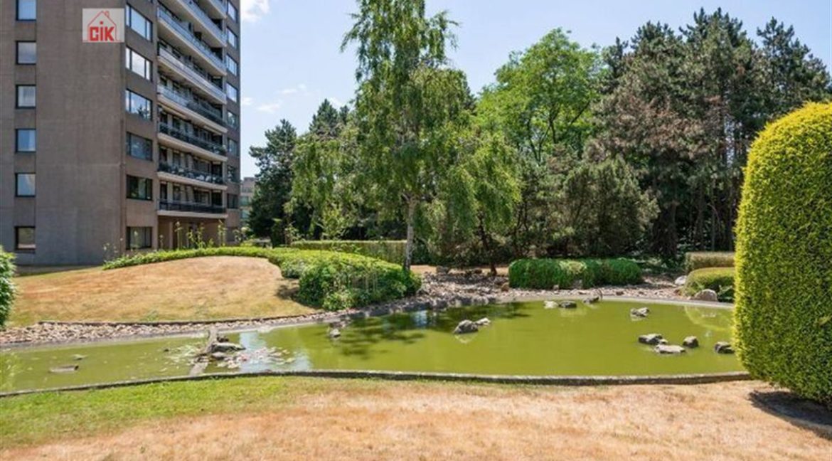 E2639016808925808983_19008PL