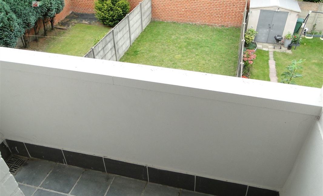 E3638923356100794613_18817NL