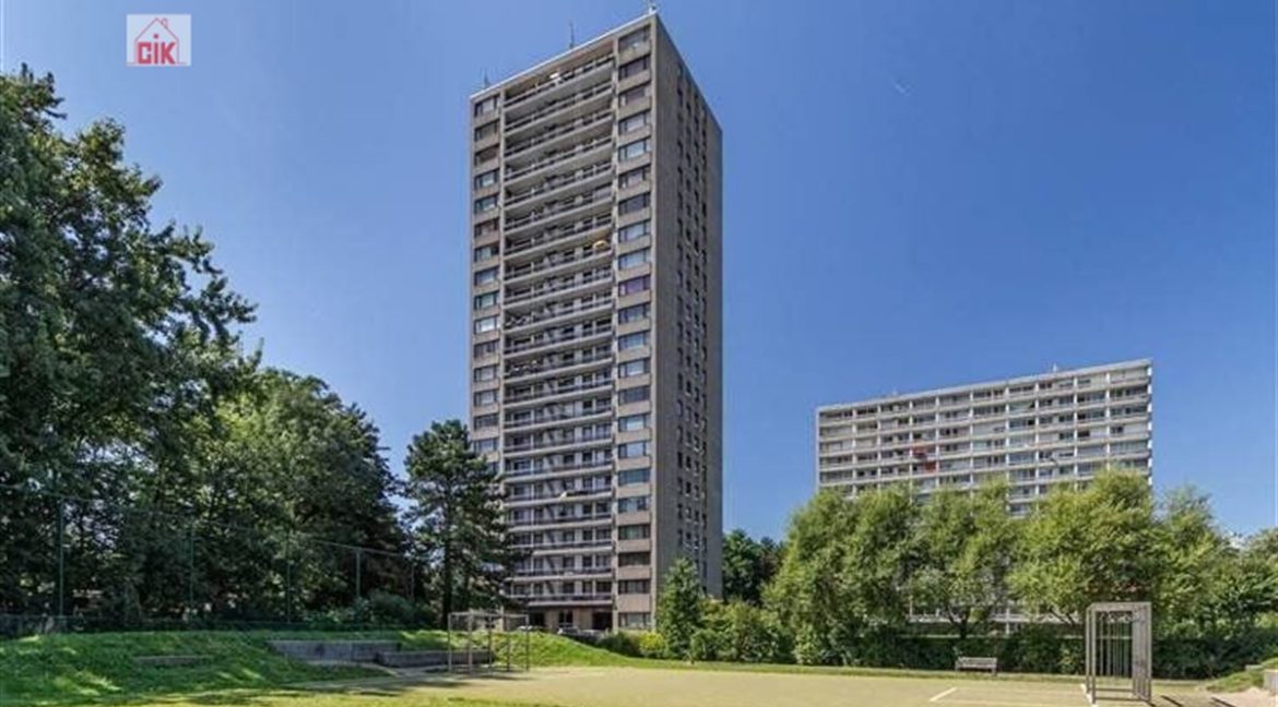 E3639016808921799640_19008AAL