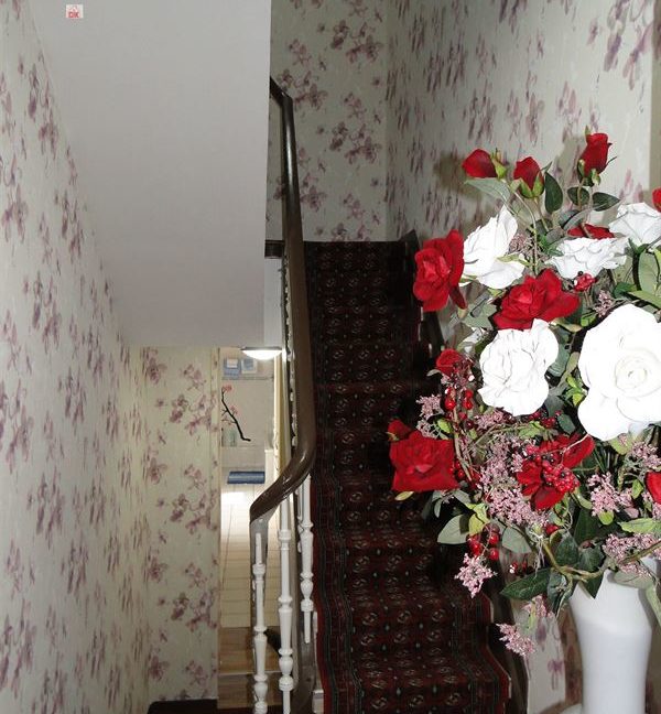 E1638923369384350967_18957JL