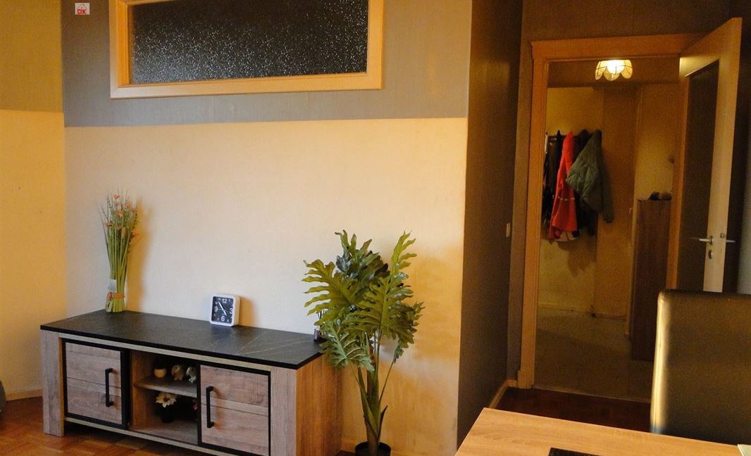 E1638985681267338794_19004DL