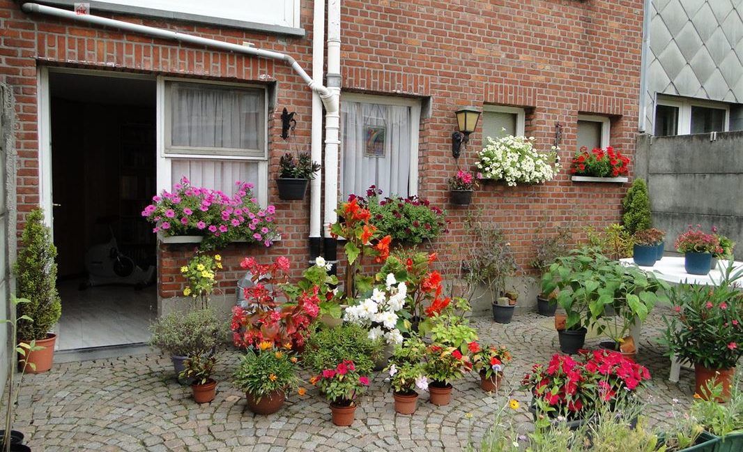 E2638923355592308160_18817AFL