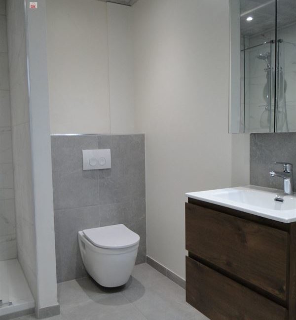 E2638923356171504804_18817PL